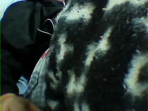 Snapshot of messi_syssy chatting on 09-25-25, 08:37 messi syssy online show from 09-25-25, 08:37
