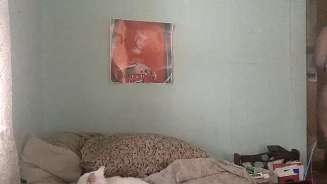 alexabunni online show from 11-17-25, 04:00