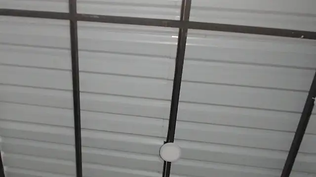 candylove05 online show from 03-08-26, 04:21