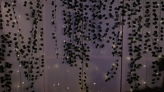 Snapshot of risha_laas chatting on 09-26-25, 08:16 risha laas online show from 09-26-25, 08:16