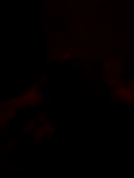 Tomtric online show from 02-10-26, 08:24