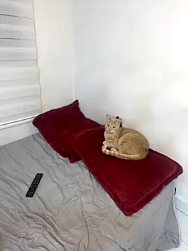 Liamiler01  online show from 10-10-25, 12:33