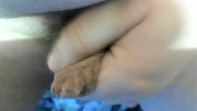 Big Andiy online show from 11-21-25, 06:12