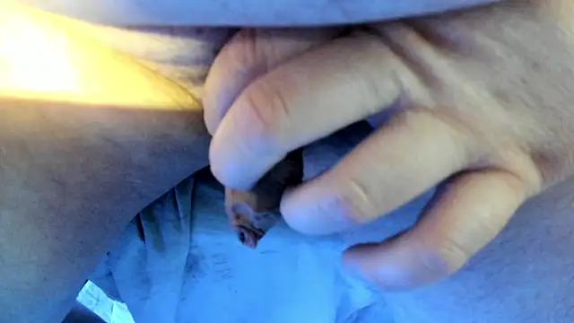 Snapshot of Big_Andiy chatting on 10-24-25, 10:14 Big Andiy online show from 10-24-25, 10:14