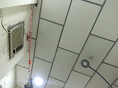 DanelyLopez online show from 02-02-26, 02:43