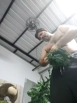 Maxi TheBigDaddy online show from 01-11-26, 11:44