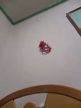 HAIRY PUSSY BIG online show from 03-11-26, 02:49