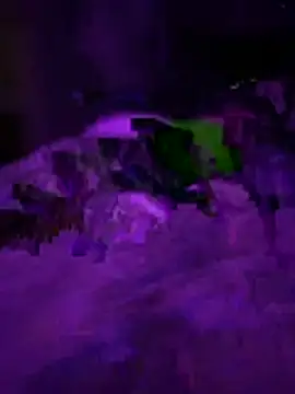 Snapshot of Themechanic420 chatting on 02-01-26, 02:37 Themechanic420 online show from 02-01-26, 02:37