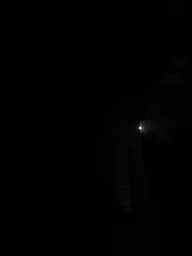 Toyjungee online show from 10-04-25, 07:26