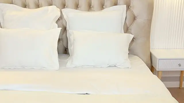 LilyRaisa online show from 03-15-25, 04:57