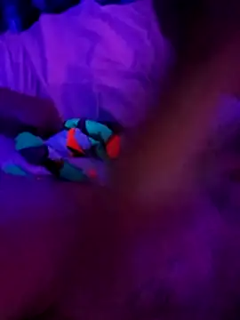 cammyquart online show from 11-02-25, 10:09