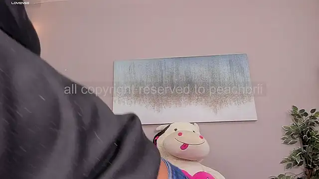 Briana Wells  online show from 12-02-25, 01:35