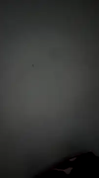 Briana Wells  online show from 04-14-26, 02:49