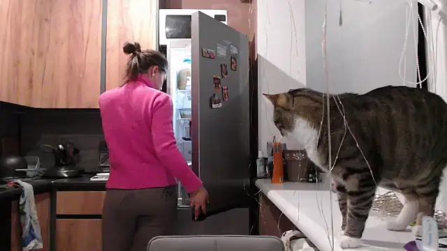 delightful sofi online show from 01-06-26, 02:54