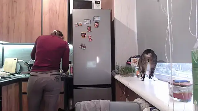 delightful sofi online show from 03-24-26, 03:23