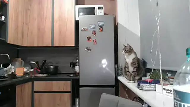 delightful sofi online show from 03-21-26, 06:45