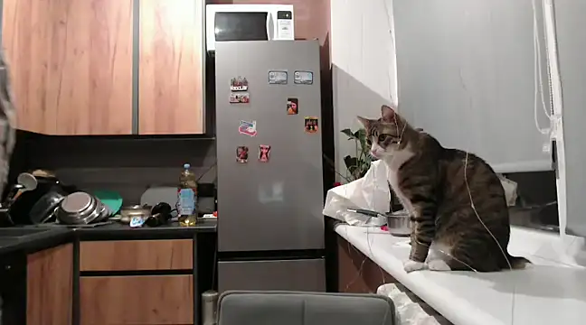 delightful sofi online show from 02-11-25, 07:38