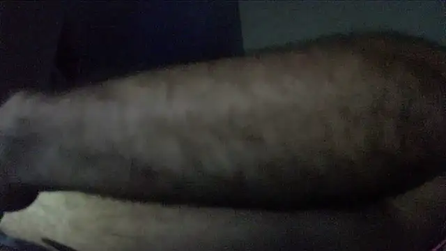 crazyslapper online show from 02-04-26, 10:54