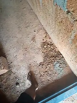 Mallupaiyanaachu online show from 02-03-26, 05:05