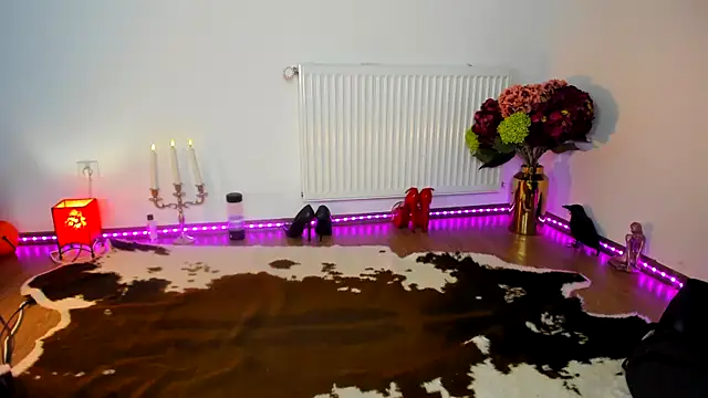 ViciousSiren online show from 11-19-25, 07:47