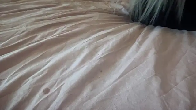 Bustyblondebabe32 online show from 09-30-25, 11:38