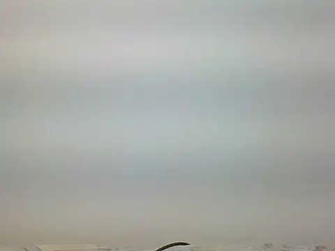 Snapshot of bigdickfuckuu chatting on 09-22-25, 12:44 bigdickfuckuu online show from 09-22-25, 12:44