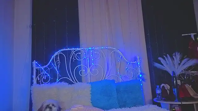 Funny Bunny online show from 11-29-25, 01:17