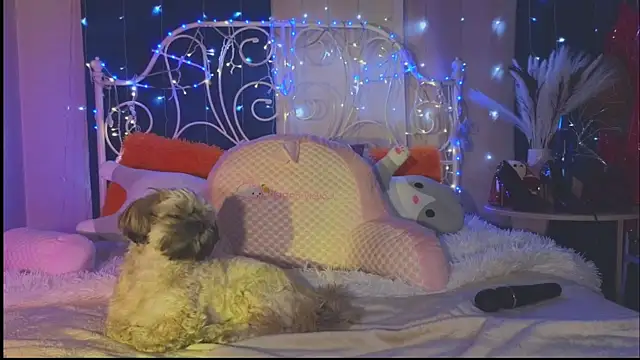 Funny Bunny online show from 03-01-25, 02:26
