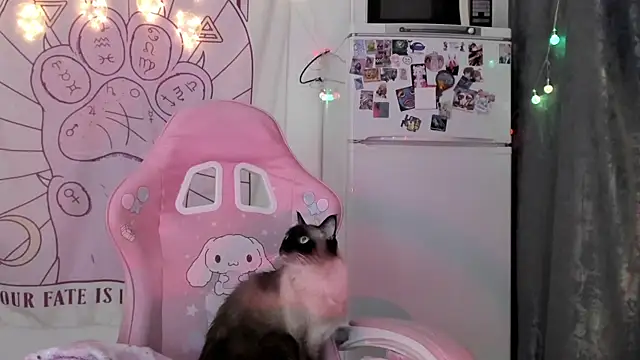 Holy420lolii online show from 01-18-26, 06:22