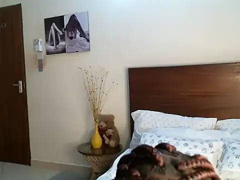 pay tience online show from 11-14-25, 02:48