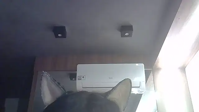 Snapshot of Skinny-Kitten chatting on 05-28-26, 04:57 Skinny-Kitten online show from 05-28-26, 04:57