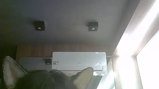 Snapshot of Skinny-Kitten chatting on 06-17-26, 03:44 Skinny-Kitten online show from 06-17-26, 03:44