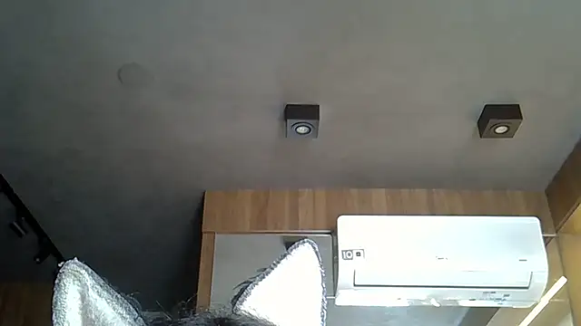 Skinny-Kitten online show from 11-14-25, 03:15