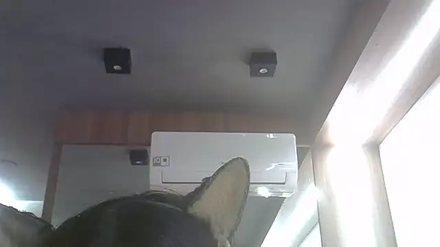 Snapshot of Skinny-Kitten chatting on 06-25-26, 11:32 Skinny-Kitten online show from 06-25-26, 11:32