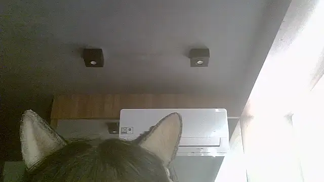 Snapshot of Skinny-Kitten chatting on 07-19-26, 07:28 Skinny-Kitten online show from 07-19-26, 07:28