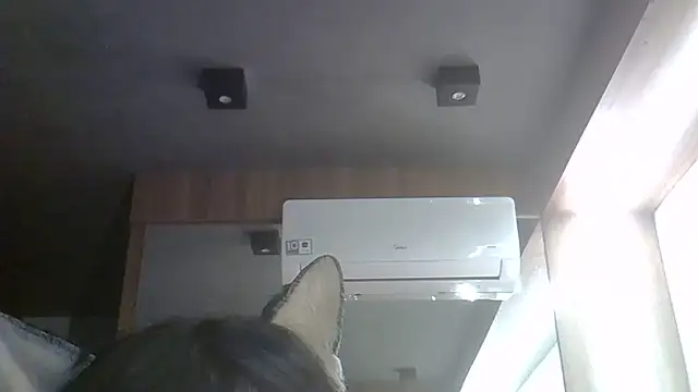 Snapshot of Skinny-Kitten chatting on 05-30-26, 11:10 Skinny-Kitten online show from 05-30-26, 11:10