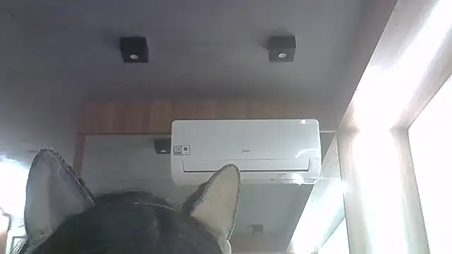 Snapshot of Skinny-Kitten chatting on 06-04-26, 11:42 Skinny-Kitten online show from 06-04-26, 11:42