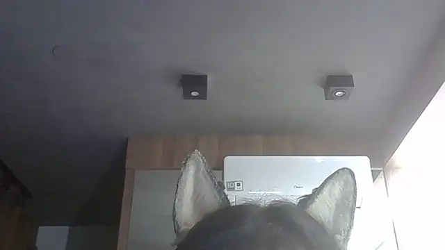 Skinny-Kitten online show from 02-14-26, 01:39