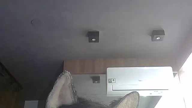 Skinny-Kitten online show from 02-07-26, 08:39