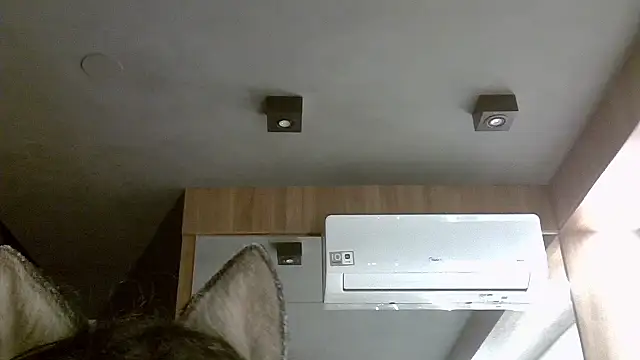 Skinny-Kitten online show from 11-05-25, 03:09