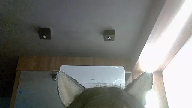 Snapshot of Skinny-Kitten chatting on 07-16-26, 04:48 Skinny-Kitten online show from 07-16-26, 04:48