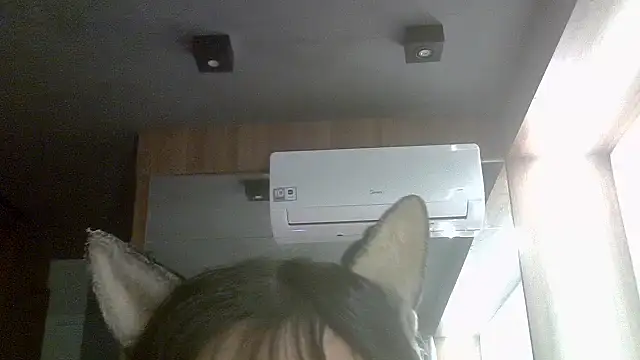 Snapshot of Skinny-Kitten chatting on 06-02-26, 04:07 Skinny-Kitten online show from 06-02-26, 04:07