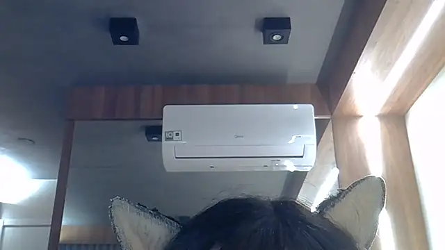 Snapshot of Skinny-Kitten chatting on 07-18-26, 04:26 Skinny-Kitten online show from 07-18-26, 04:26