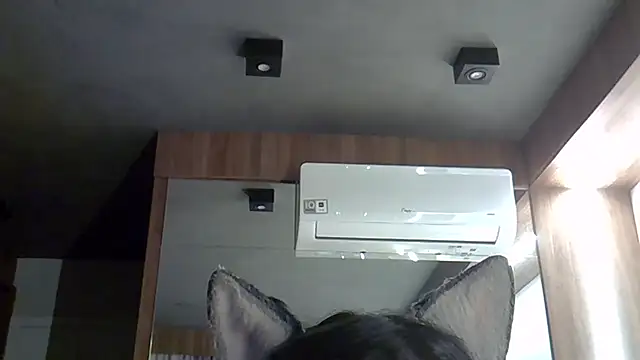 Skinny-Kitten online show from 09-30-25, 09:32