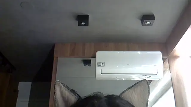 Skinny-Kitten online show from 10-20-25, 01:40