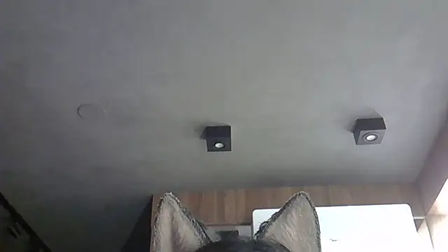 Skinny-Kitten online show from 10-31-25, 09:32