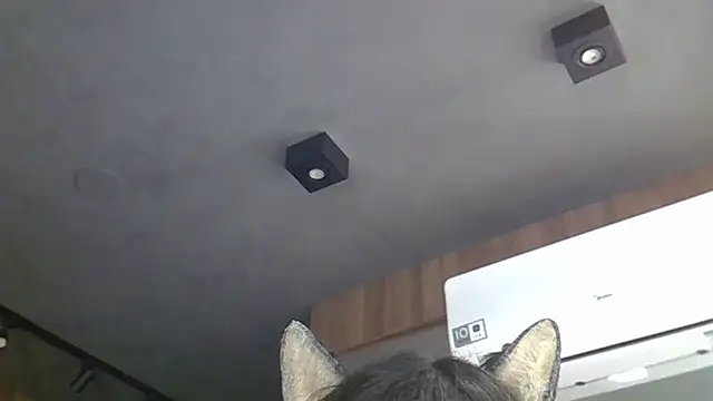 Skinny-Kitten online show from 03-04-26, 05:26