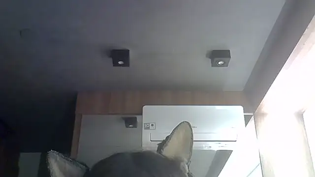 Snapshot of Skinny-Kitten chatting on 06-30-26, 12:10 Skinny-Kitten online show from 06-30-26, 12:10