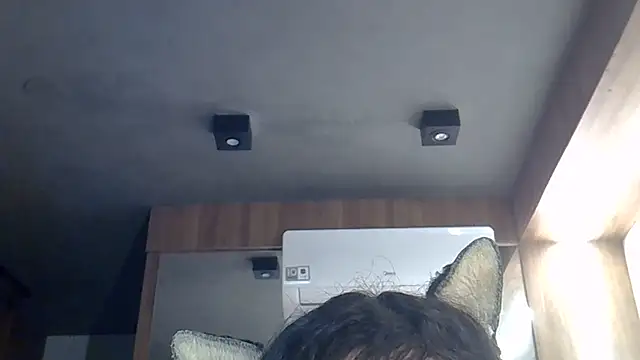 Snapshot of Skinny-Kitten chatting on 06-27-26, 01:39 Skinny-Kitten online show from 06-27-26, 01:39