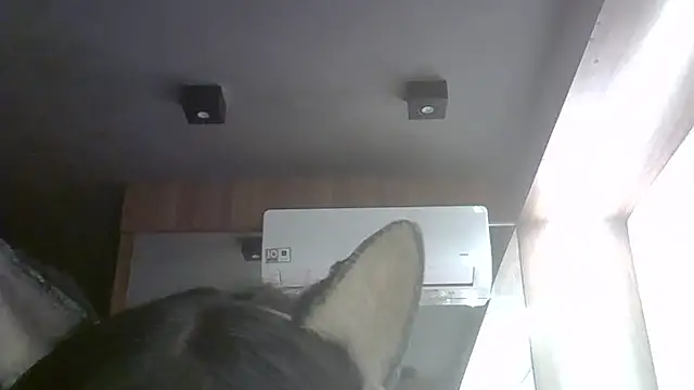 Snapshot of Skinny-Kitten chatting on 05-26-26, 08:51 Skinny-Kitten online show from 05-26-26, 08:51